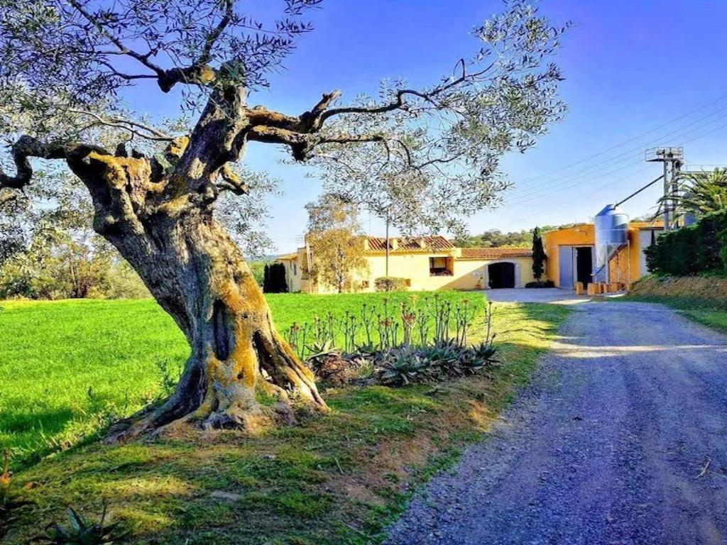 ジローナ Rural Mas Hortusヴィラ エクステリア 写真
